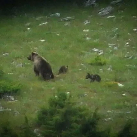 Sul Gizio Feriehus *